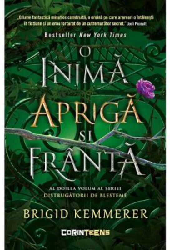 O inima apriga si franta (vol. 2 din seria Distrugatorii de blesteme) - Brigid Kemmerer