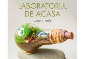 Laboratorul de acasa. Experimente - Silvia Olteanu