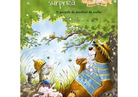 O petrecere surpriza - Walko