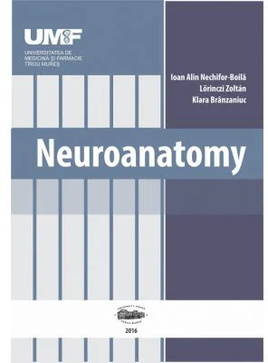 Neuroanatomy - Ioan Alin Nechifor-Boila