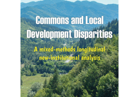 Commons and Local Development Disparities. A mixed-methods longitudinal new-institutional analysis - David Diaconu