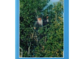 Buchet de flori din gradina Maicii Domnului - Ioannikios Kotsonis