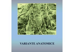 Variante anatomice - Sido Francisc Grigorescu