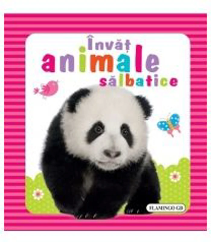 Invat animalele salbatice!