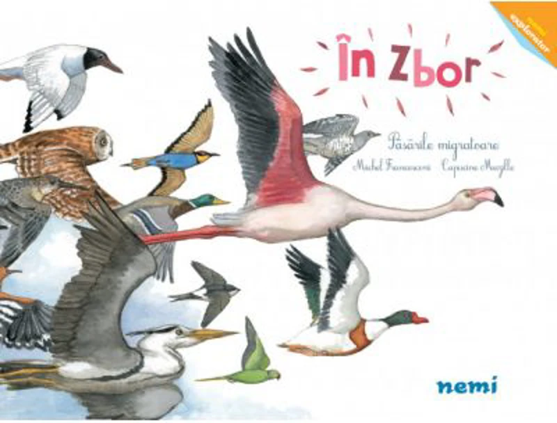 In zbor - Pasarile migratoare - Capucine Mazille, Michel Francesconi