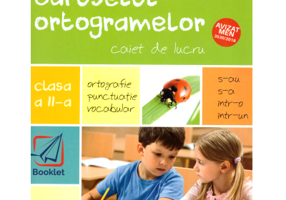 Caruselul ortogramelor pentru clasa a 2-a - Madalina Florea