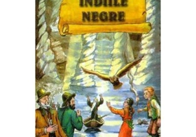 Indiile negre (Jules Verne)