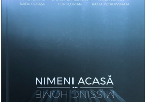 Nimeni acasa - Mircea Struteanu