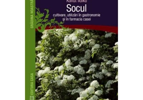 Socul. Cultivare, utilizari in gastronomie si in farmacia casei - Kohut Ildiko