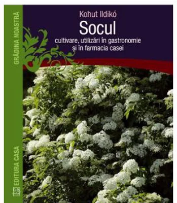 Socul. Cultivare, utilizari in gastronomie si in farmacia casei - Kohut Ildiko