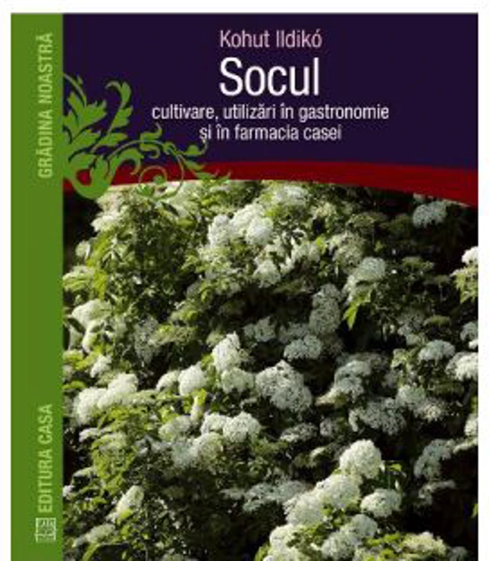 Socul. Cultivare, utilizari in gastronomie si in farmacia casei - Kohut Ildiko