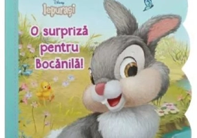 Disney Iepurasi. Carticica mea cu ferestruici. O surpriza pentru Bocanila