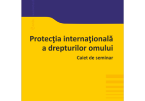 Protectia internationala a drepturilor omului. Caiet de seminar