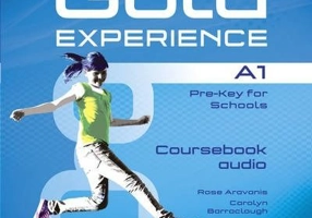 Gold Experience A1 Class Audio CDs - Rose Aravanis