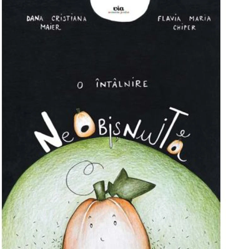 O intalnire neobisnuita - Flavia Chiper, Dana Cristina Maier