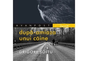 Dupa-amiaza unui caine - Grigore Soitu