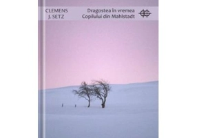 Dragostea in vremea Copilului din Mahlstadt - Clemens J. Setz