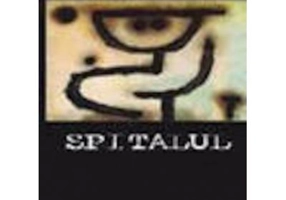 Spitalul - Gheorghe Schwartz