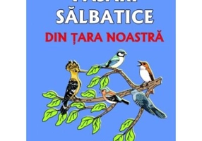 Pasari salbatice din tara noastra. Contine 48 de jetoane