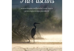 Har ascuns. Maturizarea sufletului care trece prin experienta pierderii - Jerry Sittser