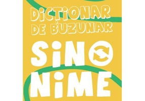 Dictionar de buzunar. Sinonime - Aurelia Barbulescu, Magdalena Coman
