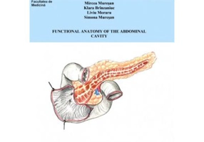 Functional anatomy of abdominal cavity - Mircea Gabriel Muresan
