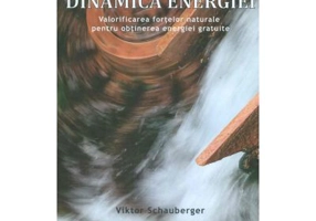 Inteligenta si Dinamica Energiei