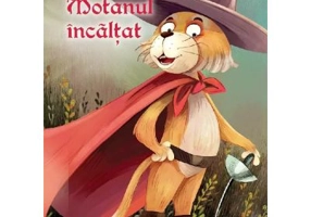Ce ne invata Motanul incaltat