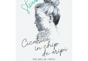 Cicatrici in chip de aripi - Erin Stewart