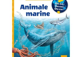 Animale marine - Anita van Saan