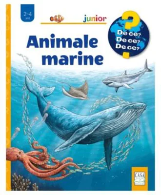 Animale marine - Anita van Saan
