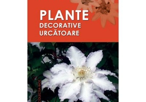 Plante decorative urcatoare