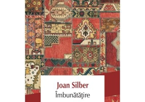 Imbunatatire - Joan Silber
