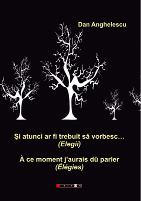 Si atunci ar fi trebuit sa vorbesc… (Elegii) - Dan Anghelescu