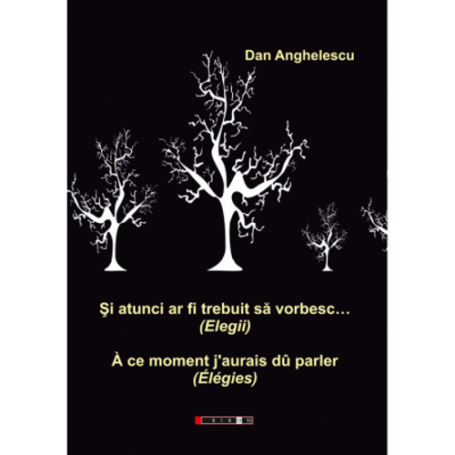 Si atunci ar fi trebuit sa vorbesc… (Elegii) - Dan Anghelescu