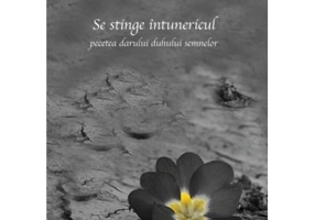 Se stinge intunericul. Pecetea darului duhului semnelor - Iosif Zoica-Teius