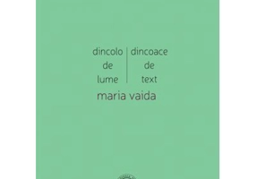 Dincolo de lume, dincoace de text. Cronici, studii, medalioane, insemnari - Maria Vaida
