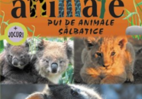 Pui de animale salbatice