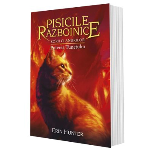 Cartea 26 Pisicile Razboinice. Zorii clanurilor. Puterea Tunetului - Erin Hunter