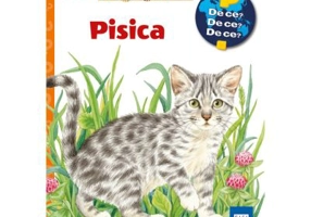 Pisica - Patricia Mennem