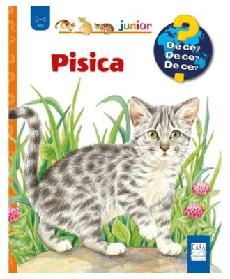 Pisica - Patricia Mennem