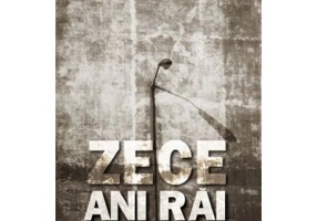 Zece ani rai - Mugur Ciuvica