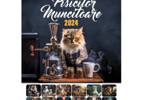 Calendarul pisicilor muncitoare 2024