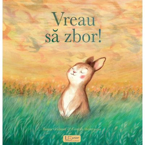 Vreau sa zbor