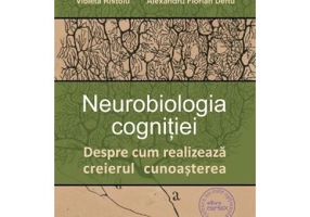 Neurobiologia cognitiei. Despre cum realizeaza creierul cunoasterea