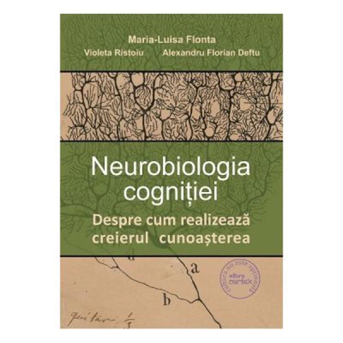 Neurobiologia cognitiei. Despre cum realizeaza creierul cunoasterea