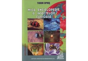 Mica enciclopedie a insectelor curioase