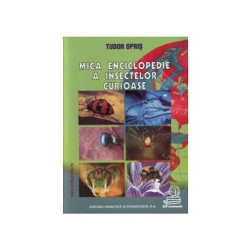 Mica enciclopedie a insectelor curioase