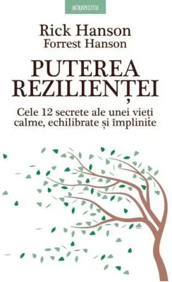 Puterea rezilientei. Cele 12 secrete ale unei vieti calme, echilibrate si implinite