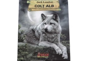 Colt Alb (Jack London)